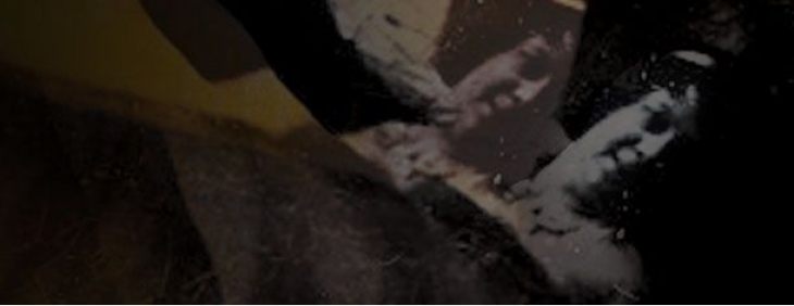 news-details